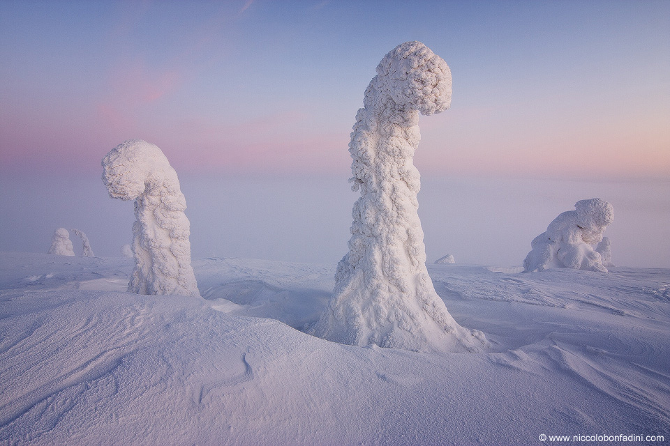 Surreal Photo Shows 'Belt of Venus' in Our Pink Sky